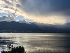 -野菌皇海景野生菌火锅(滨海大道店)