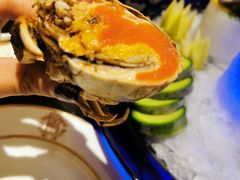 -甄御•海鲜新青岛菜(麦岛店)