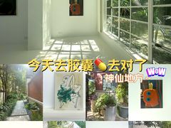 -胶囊画廊
