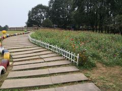 -保利石象湖景区