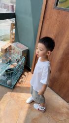 -未来动物城主题公园(正弘城店)