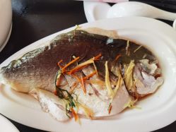 -宝生月子中心(独栋园林·福田店)