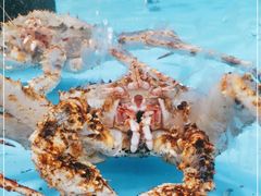 -麦德龙(郑东店)