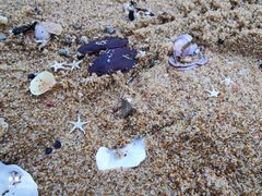 -威海国际海水浴场旅游区