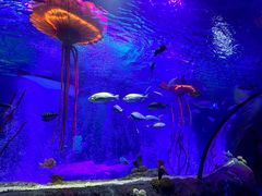 -沈阳海洋探索中心