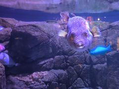 -成都浩海立方海洋公园