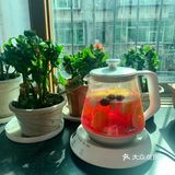 下午茶[加油]