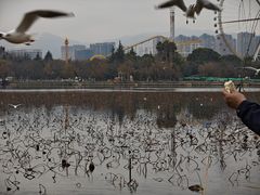 -庾园