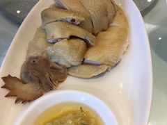 白切鸡-至潮餐厅精致粤菜·活鲈鱼·走地鸡(珠江新城店)