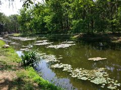 景点-长白岛森林公园