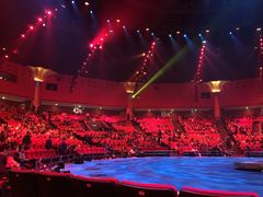 -珠海横琴长隆《卡卡虎奇遇记》