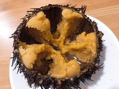 -海胆小馆(东北水饺·春柳店)