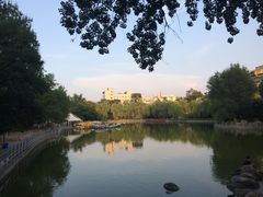 -莲湖公园