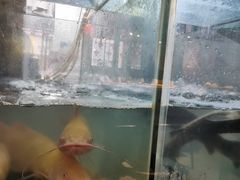 -蛙鱼道美蛙鱼自助火锅(新耍都店)