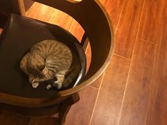 -H立方实景剧情密室(天河旗舰店)