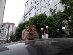 -北京邮电大学