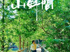 -白水寺森林公园