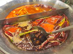 -渝大龙重庆火锅(温泉月亮湾店)