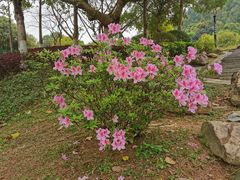 -火炉山森林公园