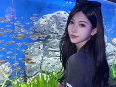 -石家庄极地海洋世界