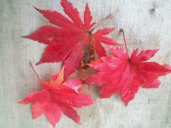 -丹东天桥沟景区