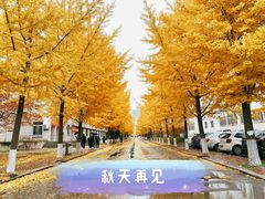 -东北大学(南湖校区)