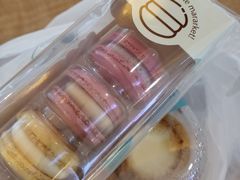 -蜂蝶来饼店(拱北总店)