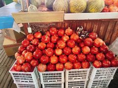 -新疆国际大巴扎