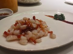 -蝶园·装修中(BFC外滩金融中心店)