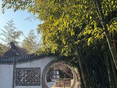 -王家大院