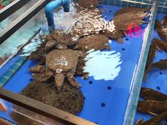 -黑金·寻焰自助百汇·烤肉·火锅(中街店)