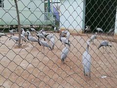 -秦皇岛野生动物园