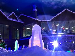 -世界之窗阿尔卑斯冰雪世界
