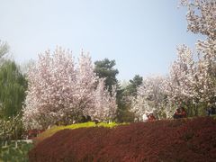 -元大都城垣遗址公园