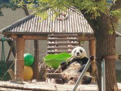 -石家庄市动物园