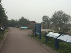 -白鹭湾湿地公园