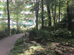 -成都市活水公园