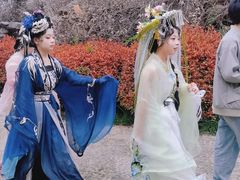 -洛阳市隋唐城遗址植物园