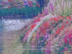 -苏州上方山国家森林公园