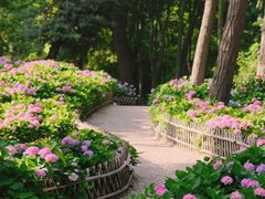 -上海共青森林公园