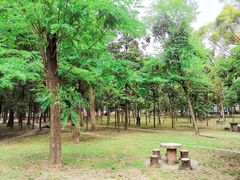 -四川大学(望江校区)