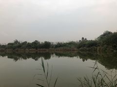 -白鹭湾湿地公园