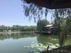 -尚庄度假村·庭台树下·户外烧烤·团建CS·轰趴营地(上庄水库店)