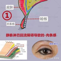 -丰联丽格医疗美容·联合丽格眼整形中心