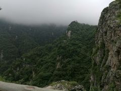 -牛背梁国家森林公园