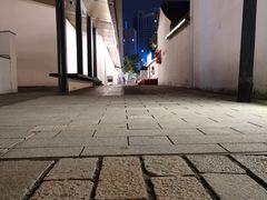 -青果巷历史文化街区