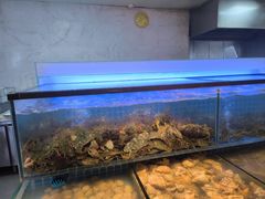 -冀粤香海鲜自助餐厅(西美五洲店)