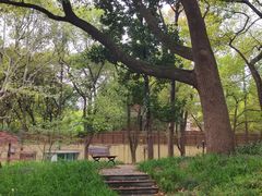 -徐家汇源景区-衡山公园