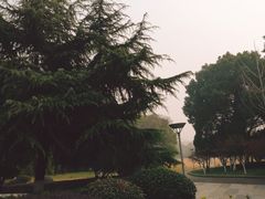 -玉山公园