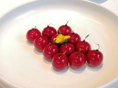 樱桃鹅肝-玫瑰厅上海菜(兴国路店)